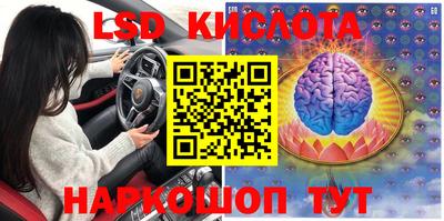 прущие грибы Заводоуковск