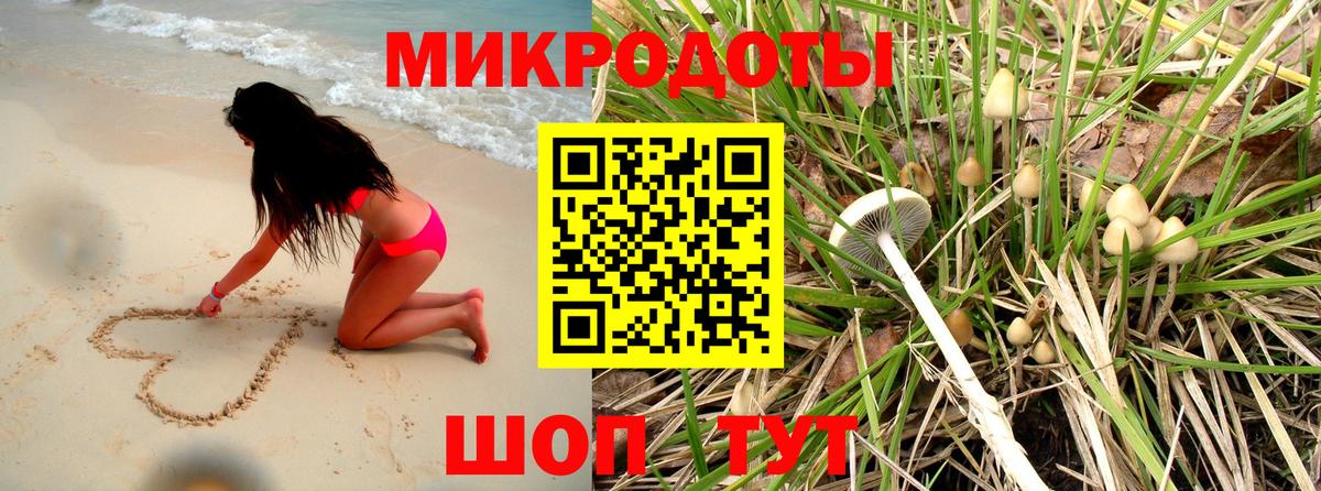 Псилоцибиновые грибы Magic Shrooms Майский
